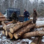 signal-2025-04-05-17-58-23-648