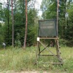 signal-2025-08-18-09-22-15-239-1