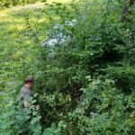 signal-2025-08-18-09-22-15-239-3