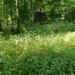 signal-2025-08-18-09-22-15-239-4