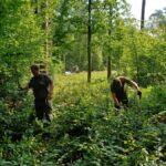 signal-2025-08-18-09-22-15-239-5