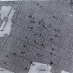 signal-2025-08-18-09-22-15-239-6