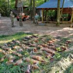 signal-2025-08-18-09-28-14-250