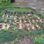 signal-2025-08-18-09-28-14-250-2