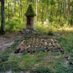 signal-2025-08-18-09-28-14-250-3