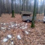 signal-2025-11-08-10-47-25-604