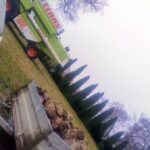 signal-2025-11-08-10-47-25-604-7