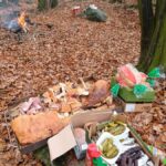 signal-2025-11-17-16-10-53-373-4