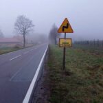 signal-2025-11-17-16-11-33-515