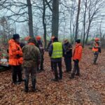 signal-2025-11-17-16-11-33-515-2