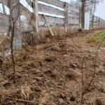 signal-2025-11-23-10-03-35-566-1