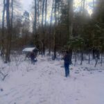 signal-2026-01-03-12-03-30-504-3