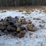 signal-2026-01-08-18-24-19-840