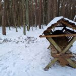 signal-2026-01-08-18-24-19-840-5