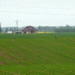 DSC02717